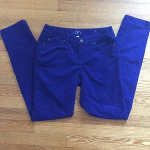Ann Taylor Loft pants